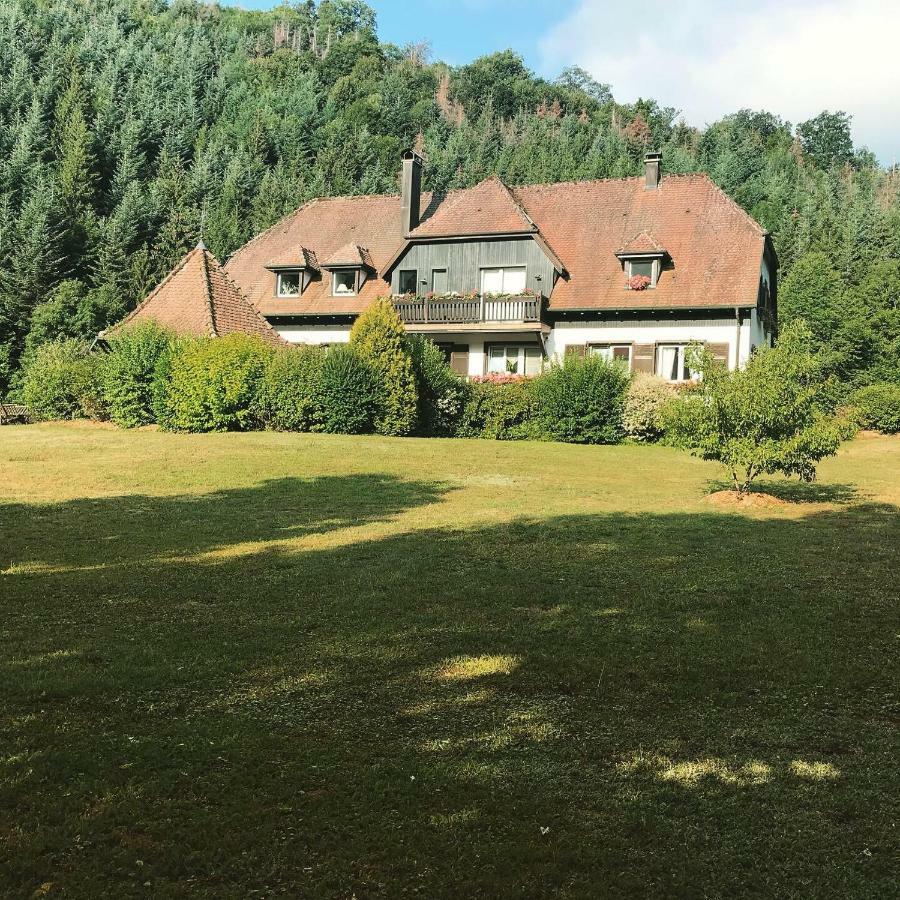 Chambres D'Hotes Maison Efftermatten Andlau-au-Val Екстериор снимка